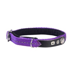 COLLIER CHAT LOST