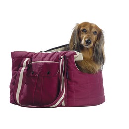 SAC VADROUILLE