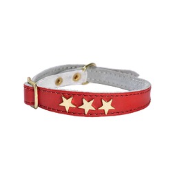COLLIER CHAT ETOILES