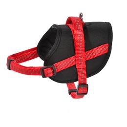 HARNAIS EASY SAFE