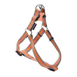 HARNAIS NYLON ARLEQUIN