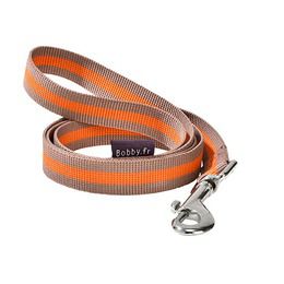 LAISSE ARLEQUIN
