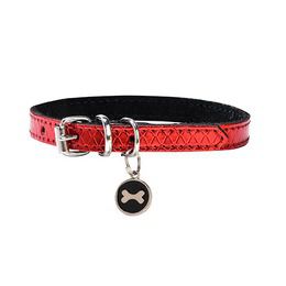 COLLIER POWER