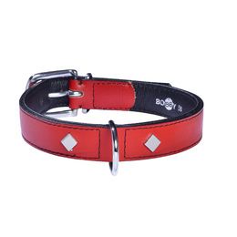 COLLIER TOMY