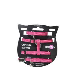 PACK CHATON SAFE
