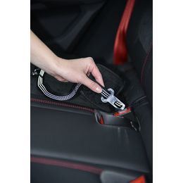LAISSE CAR