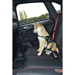 LAISSE CAR