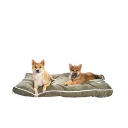 COUSSIN OLLIE