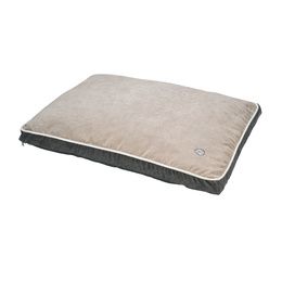 COUSSIN OLLIE