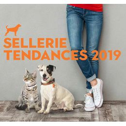 Cuir chien