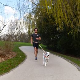 CEINTURE RUNNING