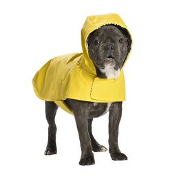 Vêtements