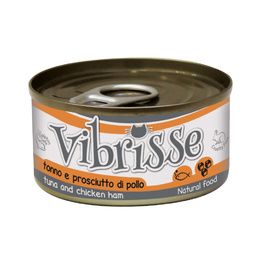 VIBRISSE CHAT