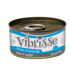 VIBRISSE CHAT