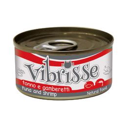 VIBRISSE CHAT