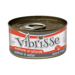 VIBRISSE CHAT