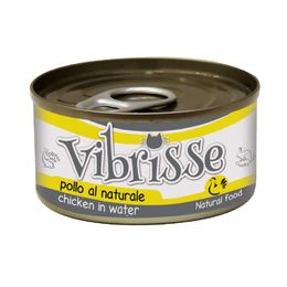 VIBRISSE CHAT