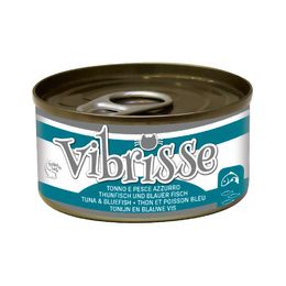 VIBRISSE CHAT