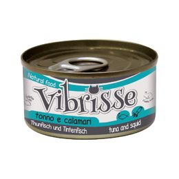VIBRISSE CHAT