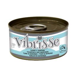 VIBRISSE CHAT