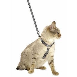 HARNAIS+LAISSE CHAT CHIC