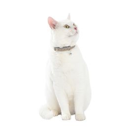 COLLIER CHAT GEISHA