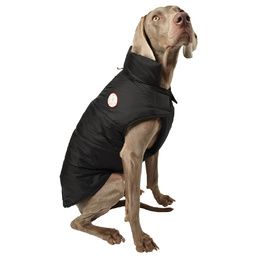 MANTEAU DOG