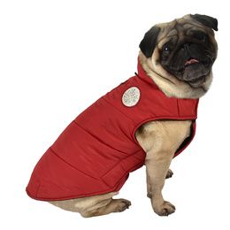 MANTEAU DOG