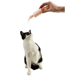 JOUET CHAT TUBE PCB 5
