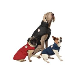 MANTEAU DOG
