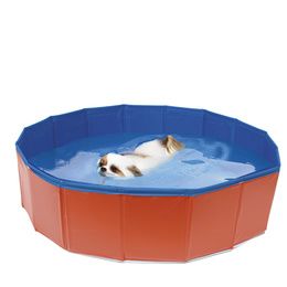 PISCINE POUR CHIENS 80X20 cm.