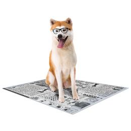 TAPIS SUPER NAPPY NEWSPAPER 60PC