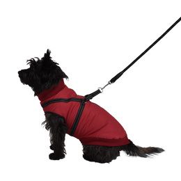 MANTEAU EASY