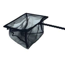 EPUISETTE NOIR