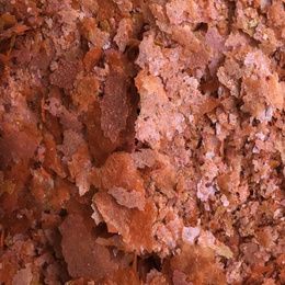 AMTRA PRO COLOR FLAKE