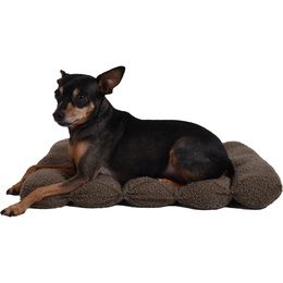 MATELAS CHAT BOUCLE
