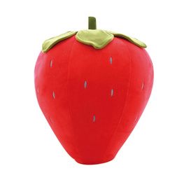 COUSSIN FRAISE 50 CM PCB 40