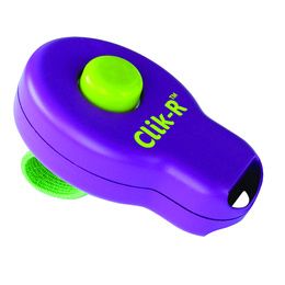 CLIK-R TRAINING TOOL PCB 6