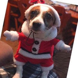 XMAS SANTA DRESS