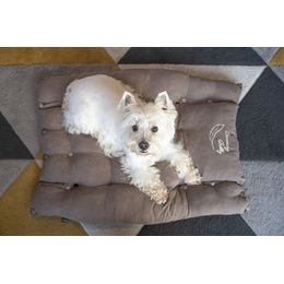 LIT CHIEN PILOU PCB 1