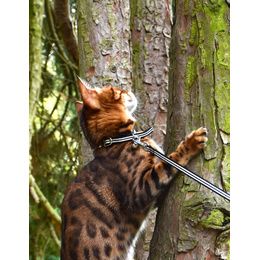 COLLIER CHAT STRIPE