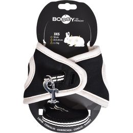 PACK RONGEUR HARNAIS + LAISSE STRIPE