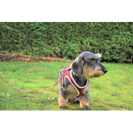 HARNAIS MINI STRIPE