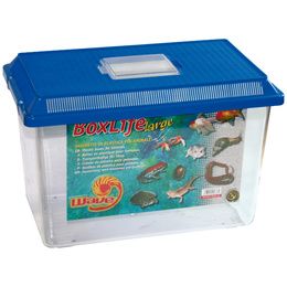 BOXLIFE LARGE 36,5X21,5X24