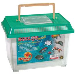 BOXLIFE SMALL 23X15X16