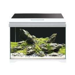 AMTRA MODERN TANK 50 LED PCB 1