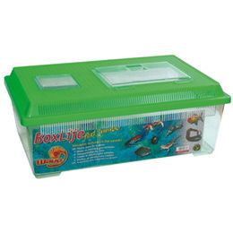 BOXLIFE FLAT JUMBO 45X30X17,5
