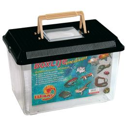 BOXLIFE MEDIUM 29,5X19,5X20