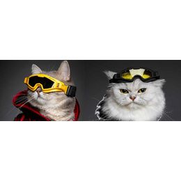 LUNETTES DE SKIHORIZON BLACK M