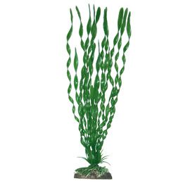 PLANT CLASSIC VALISNERIA MAJOR LG PCB 6